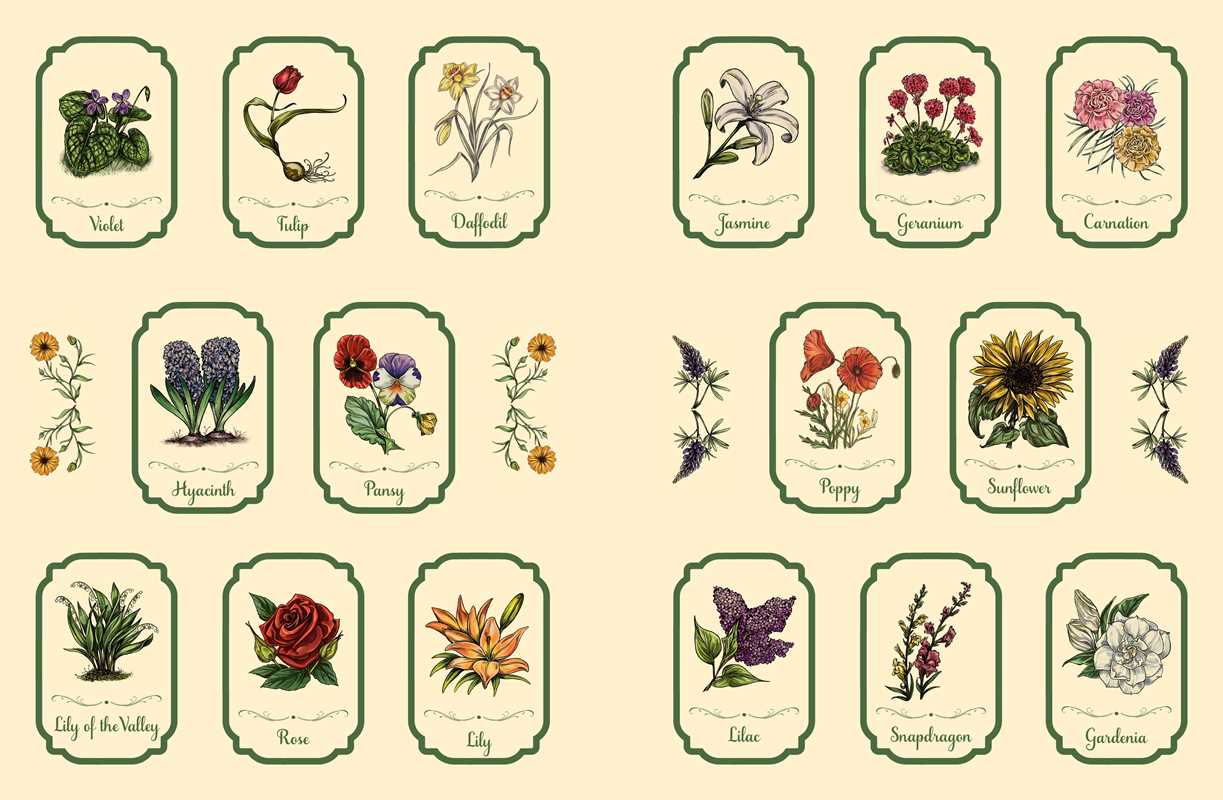 Green Witch's Sticker Book by Arin Murphy-Hiscock: Paperback; 144 pages / English