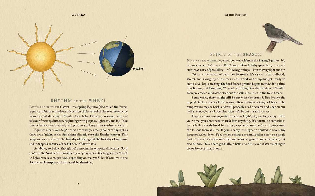 Wheel of the Year by Fiona Cook: Hardcover; 256 pages / English