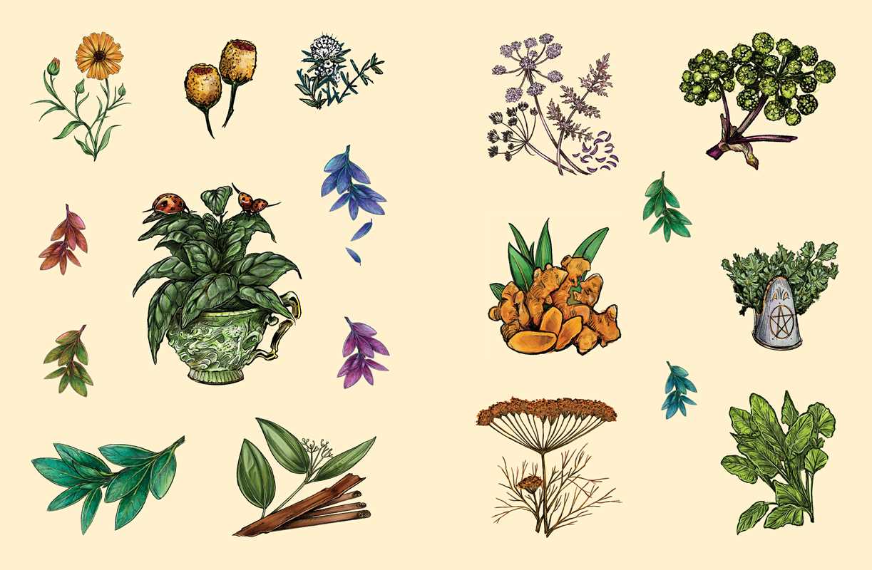 Green Witch's Sticker Book by Arin Murphy-Hiscock: Paperback; 144 pages / English