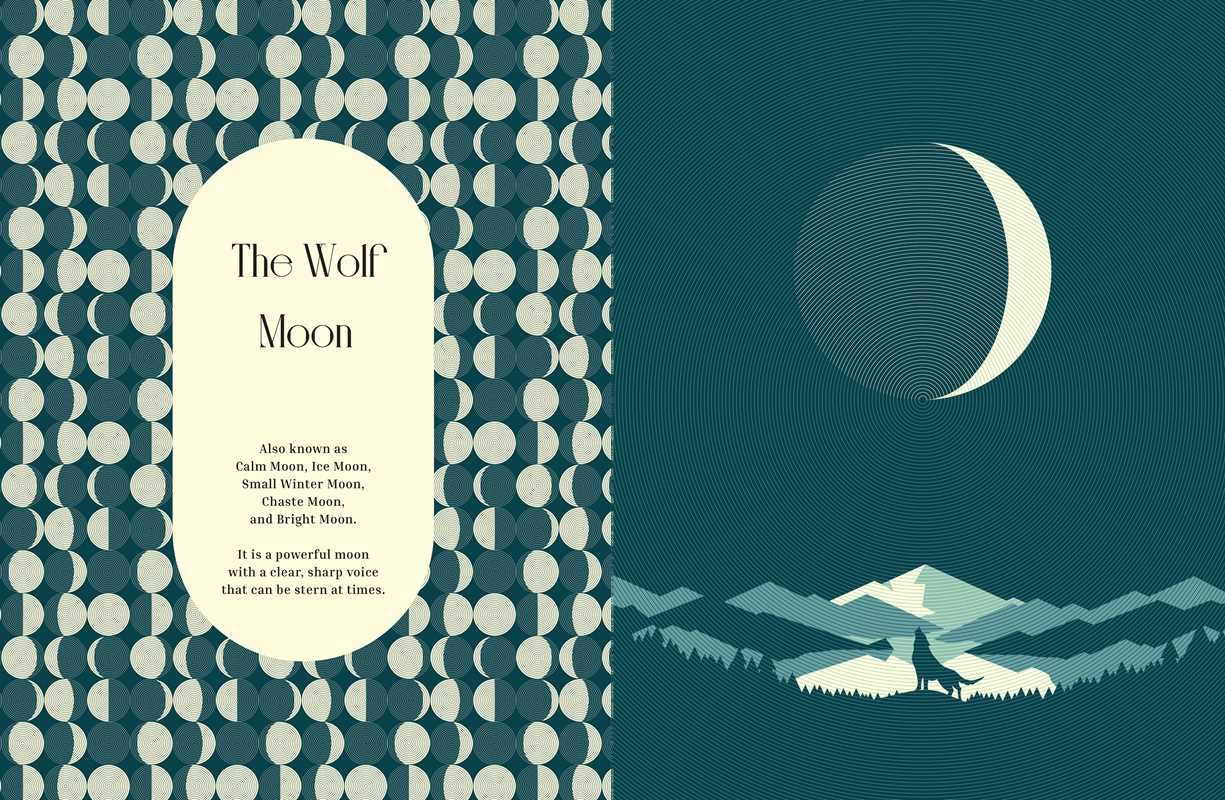 Moon Phases by Cecilia Lattari: Hardcover; 160 pages / English