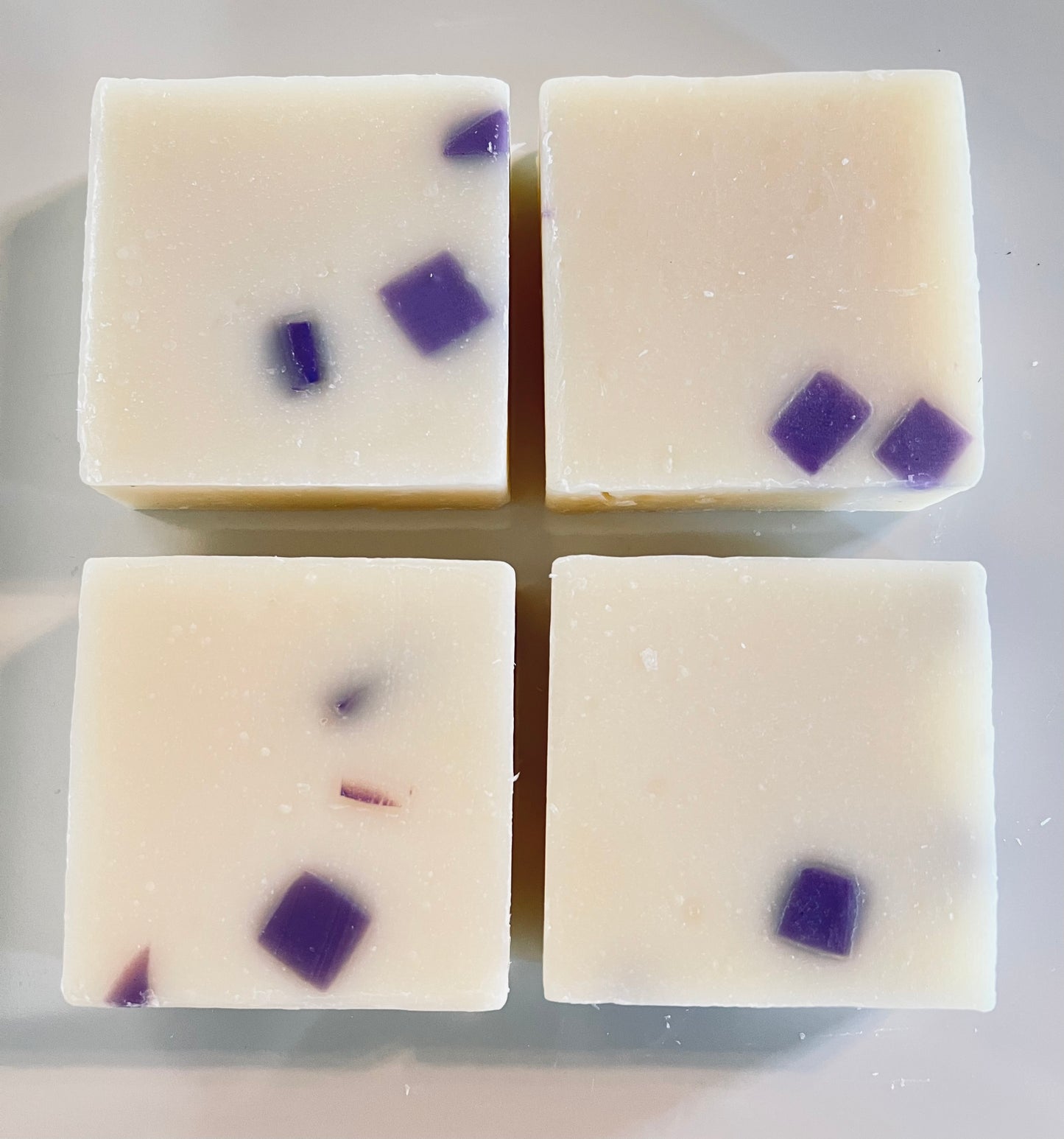 BLACK RASPBERRY VANILLA - Vegan Botanical Handmade Soap