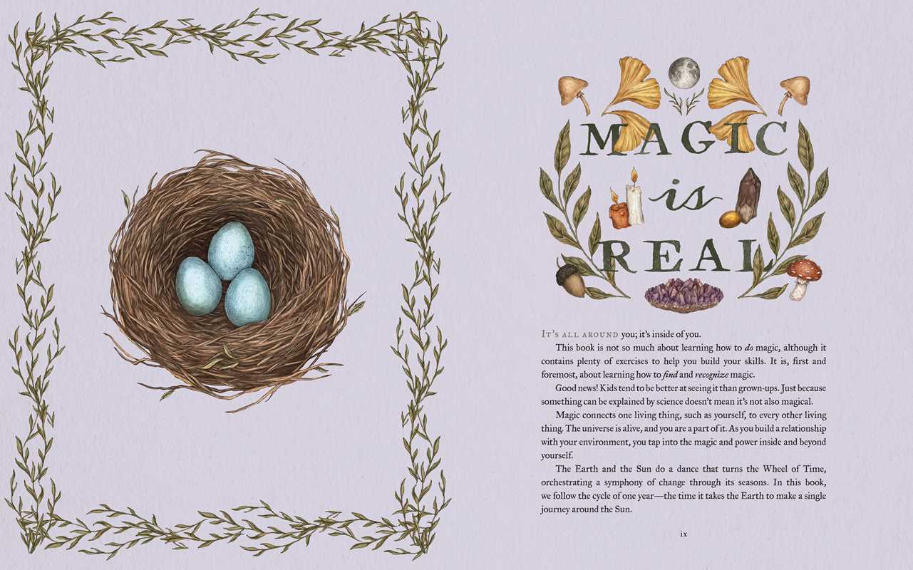 Wheel of the Year by Fiona Cook: Hardcover; 256 pages / English