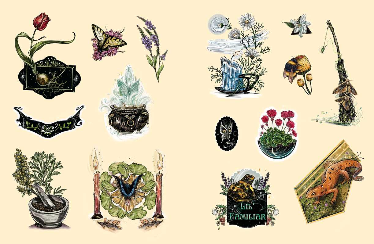 Green Witch's Sticker Book by Arin Murphy-Hiscock: Paperback; 144 pages / English
