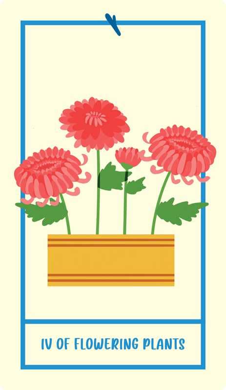 Houseplant Tarot by Minerva Siegel: Flashcards; 128 pages / English
