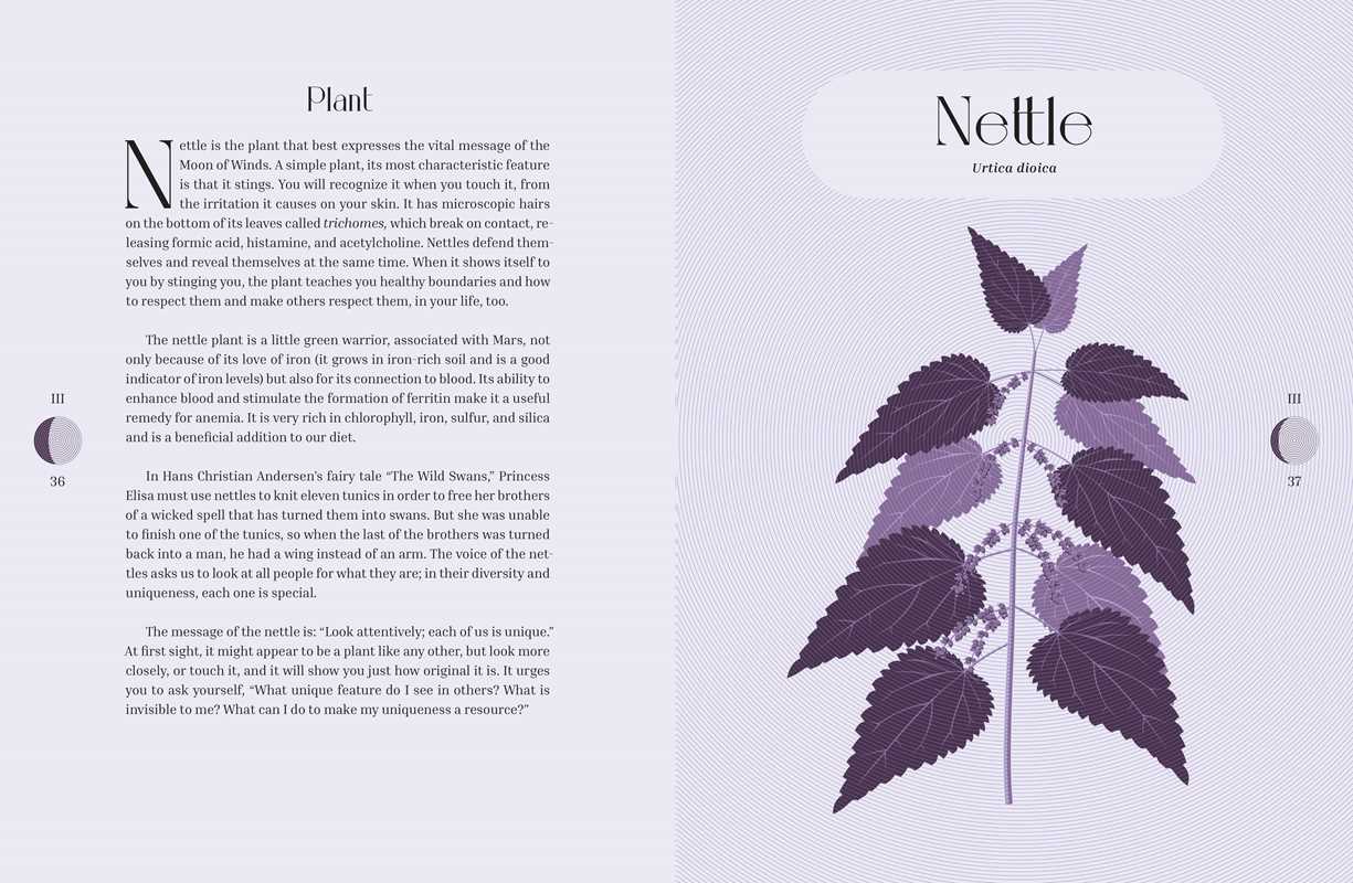 Moon Phases by Cecilia Lattari: Hardcover; 160 pages / English