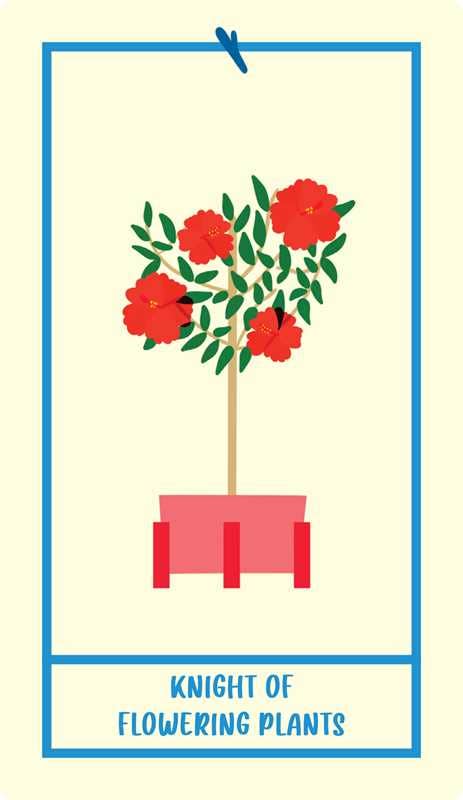 Houseplant Tarot by Minerva Siegel: Flashcards; 128 pages / English
