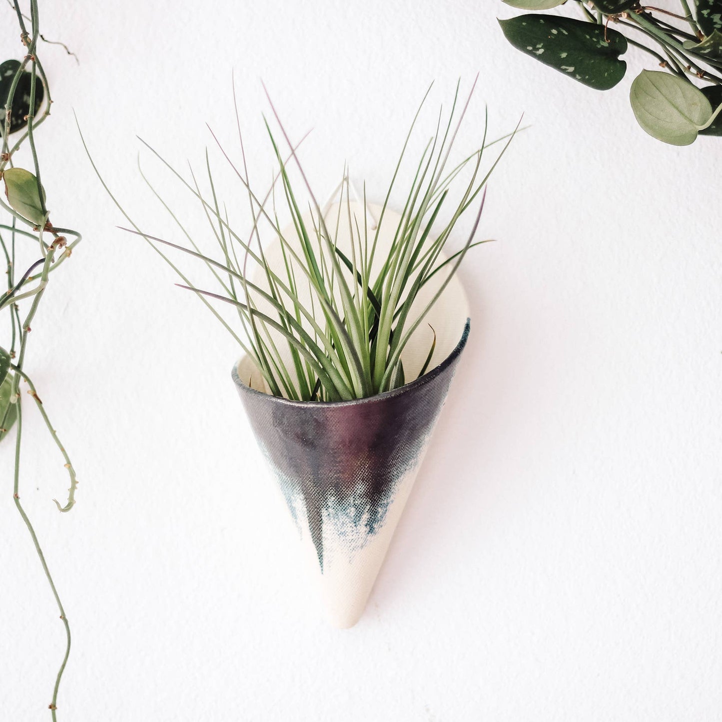 Large Ceramic Cone: Pistachio / With Plant
