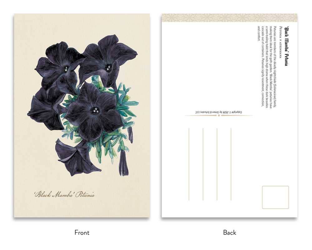 Goth Garden: Dark Blooms by Felicia Feaster: Postcard book or pack; 50 pages / English