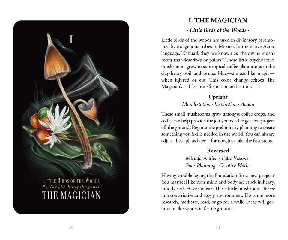 Midnight Magic by Sara Richard: Flashcards; 78 pages / English
