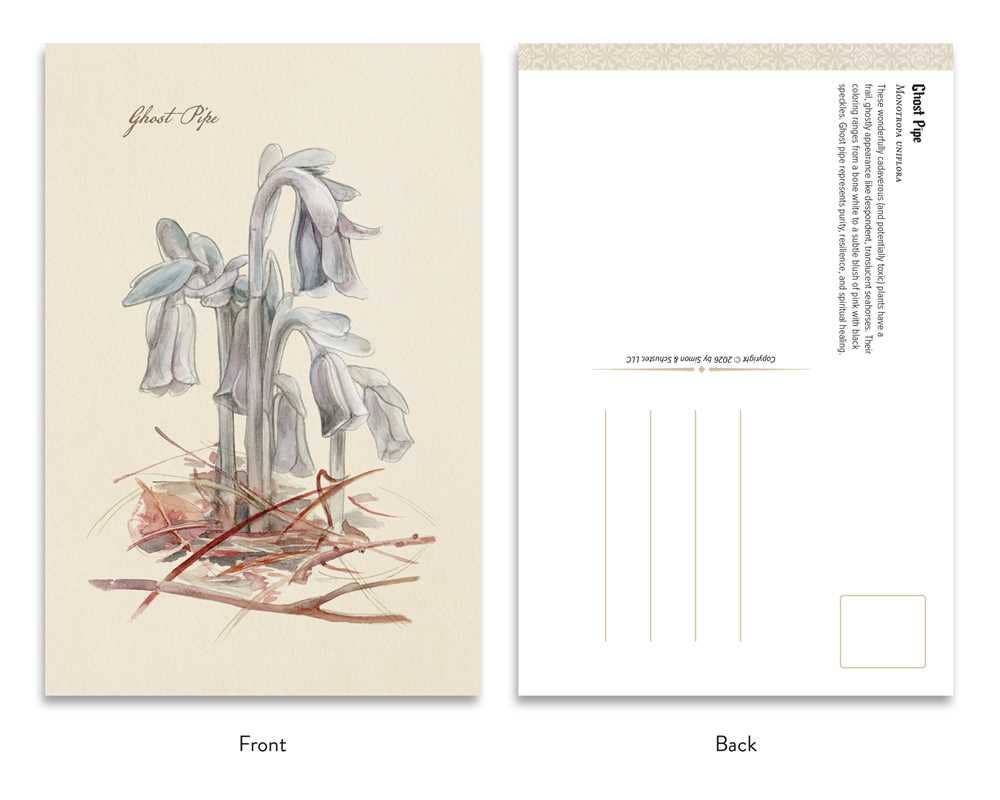 Goth Garden: Dark Blooms by Felicia Feaster: Postcard book or pack; 50 pages / English