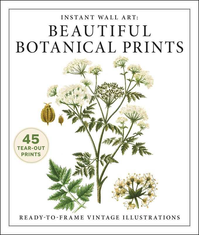Instant Wall Art: Beautiful Botanical Prints by Adams Media: Paperback; 96 pages / English