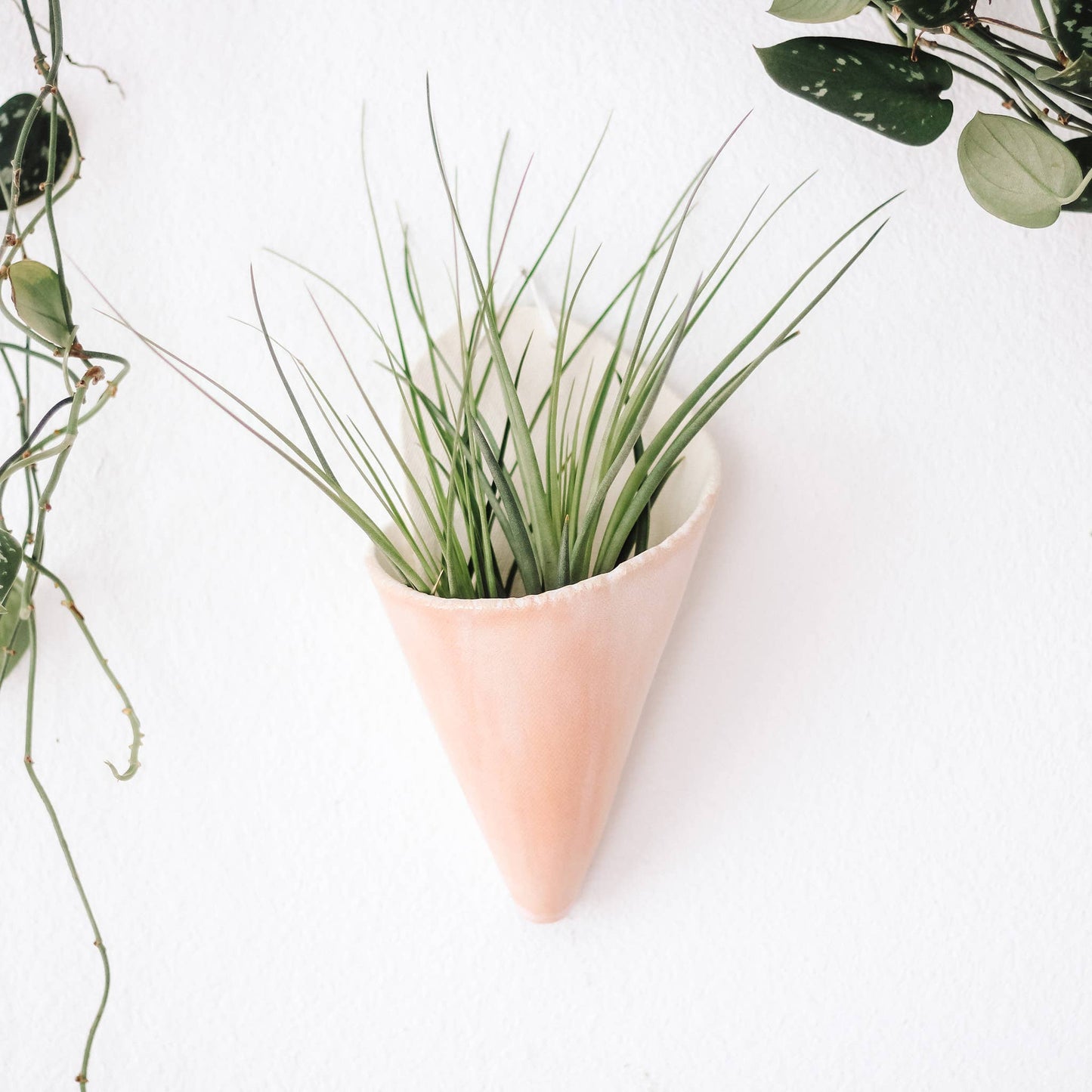 Large Ceramic Cone: Pistachio / With Plant