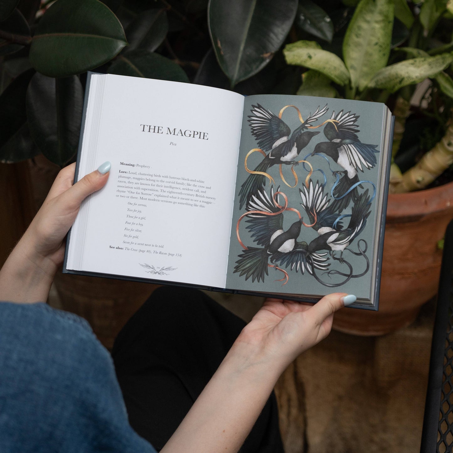 Ornithography by Jessica  Roux: Hardcover; 224 pages / English