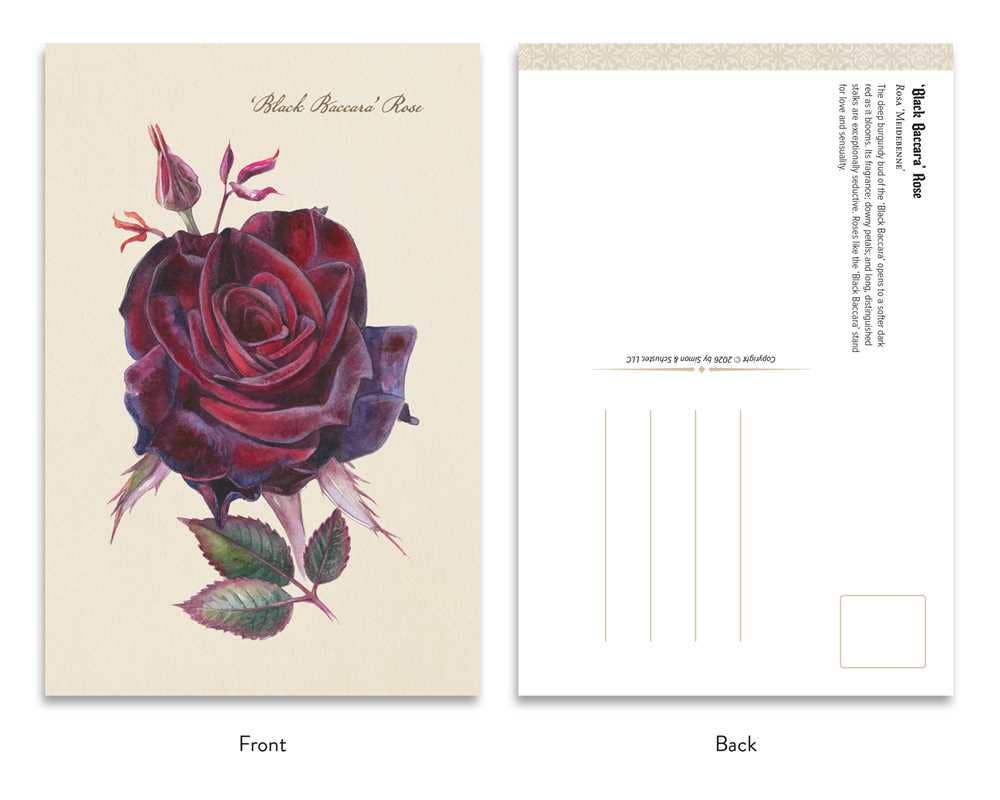 Goth Garden: Dark Blooms by Felicia Feaster: Postcard book or pack; 50 pages / English