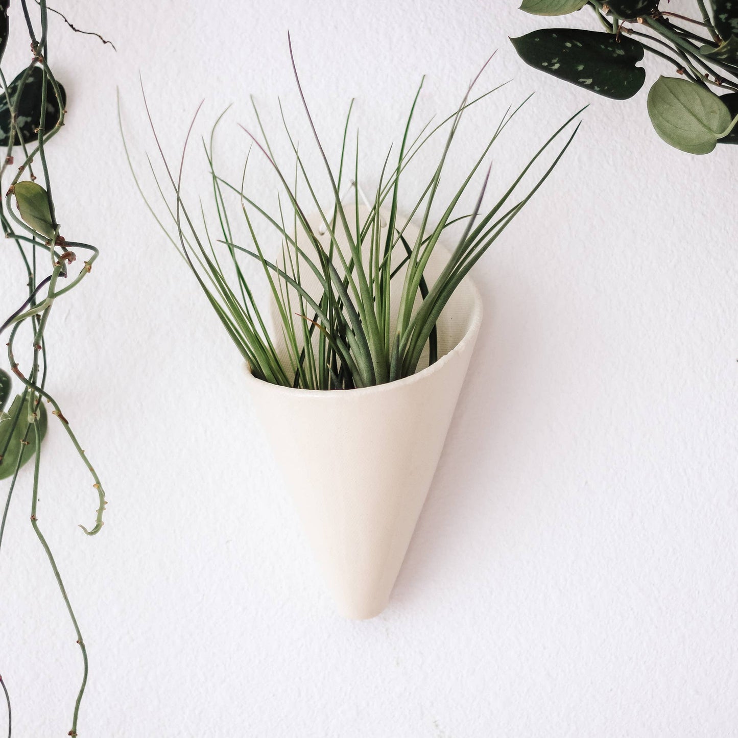 Large Ceramic Cone: Pistachio / With Plant