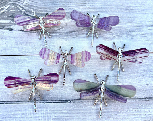 Natural Fluorite Dragonfly w/metal stand Crystals Healing