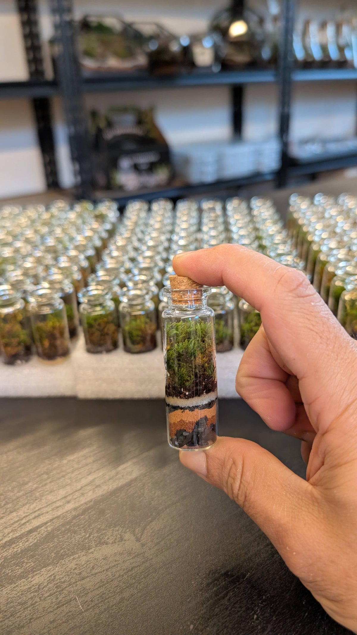 Pocket Terrarium / Self Sustaining Miniature Ecosystem