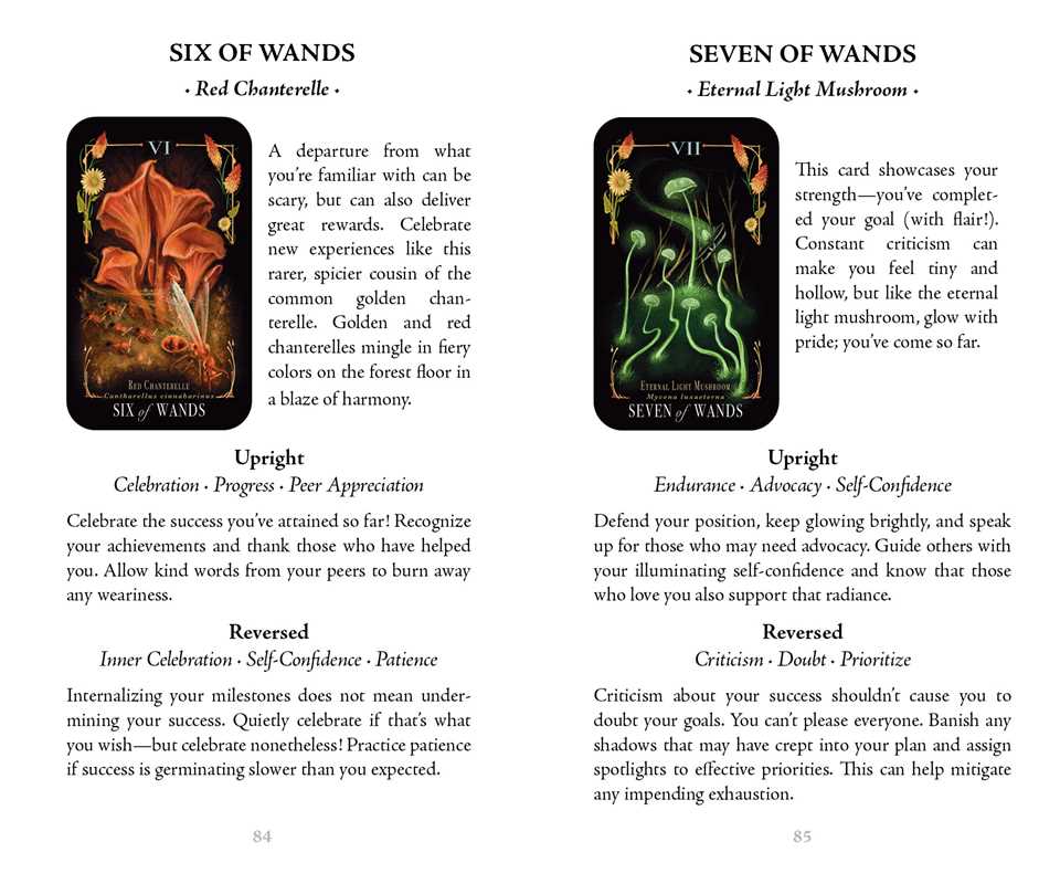Midnight Magic by Sara Richard: Flashcards; 78 pages / English