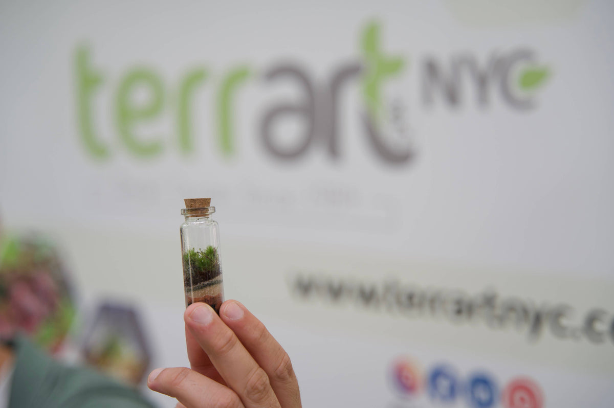 Pocket Terrarium / Self Sustaining Miniature Ecosystem