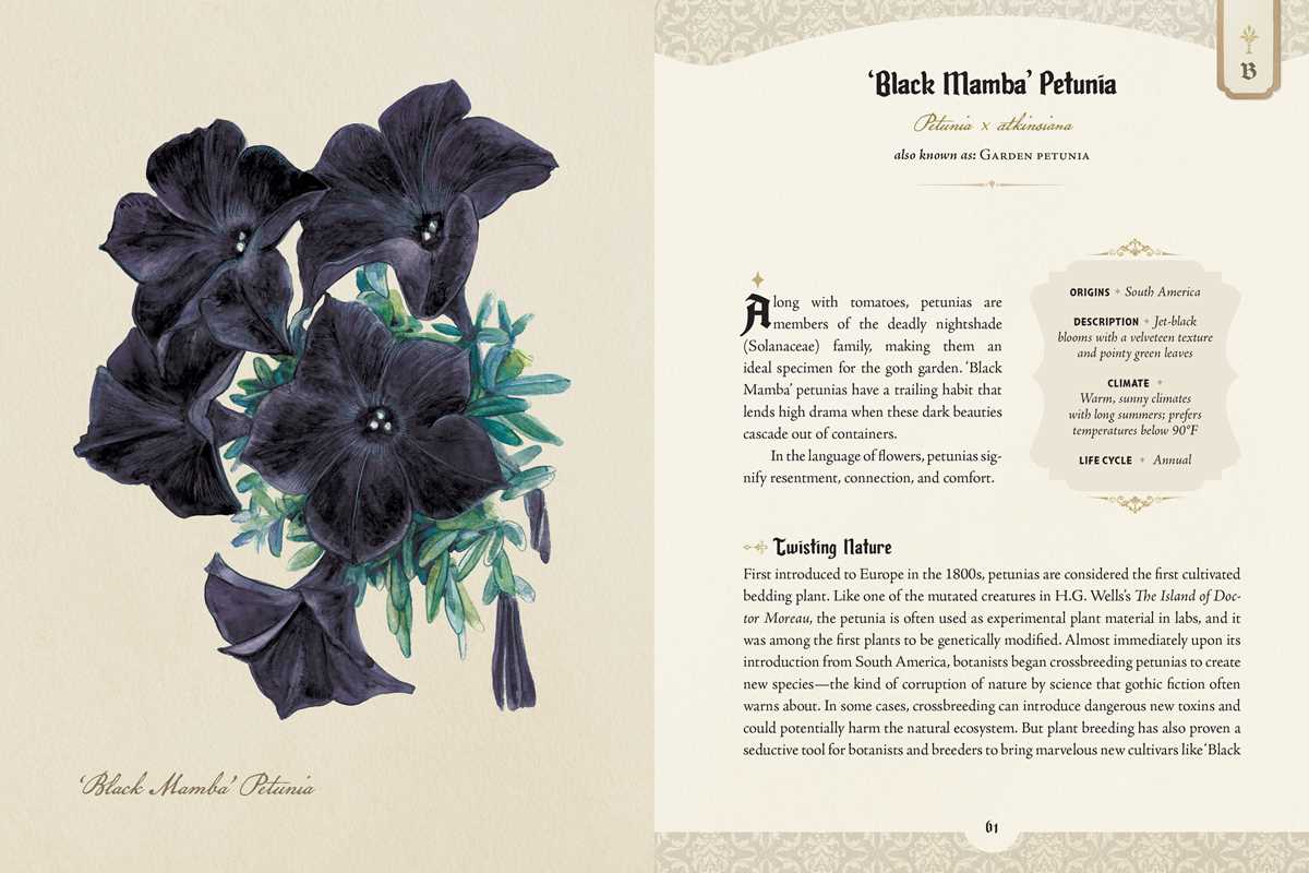 Goth Garden by Felicia Feaster: Hardcover; 192 pages / English