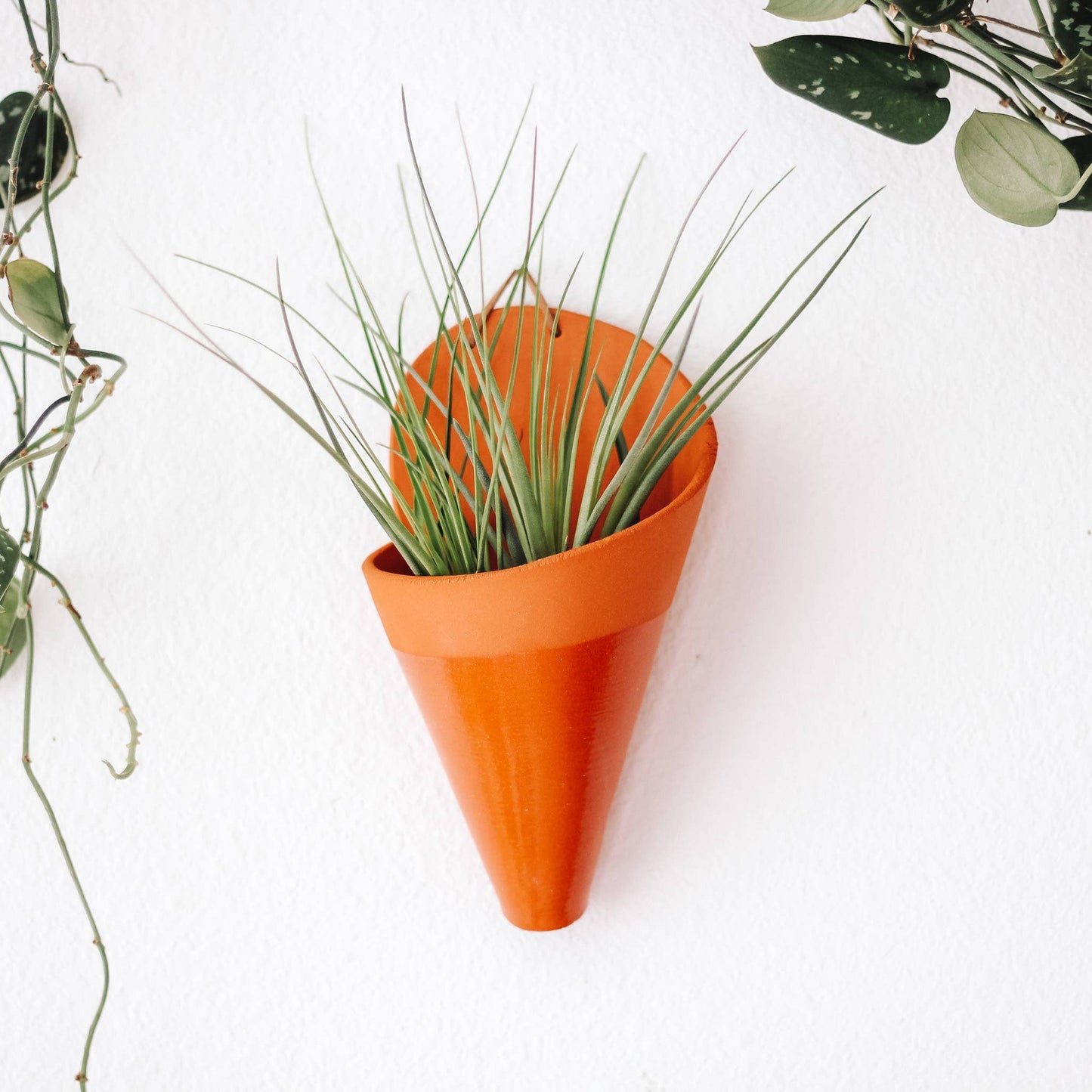 Large Ceramic Cone: Pistachio / With Plant