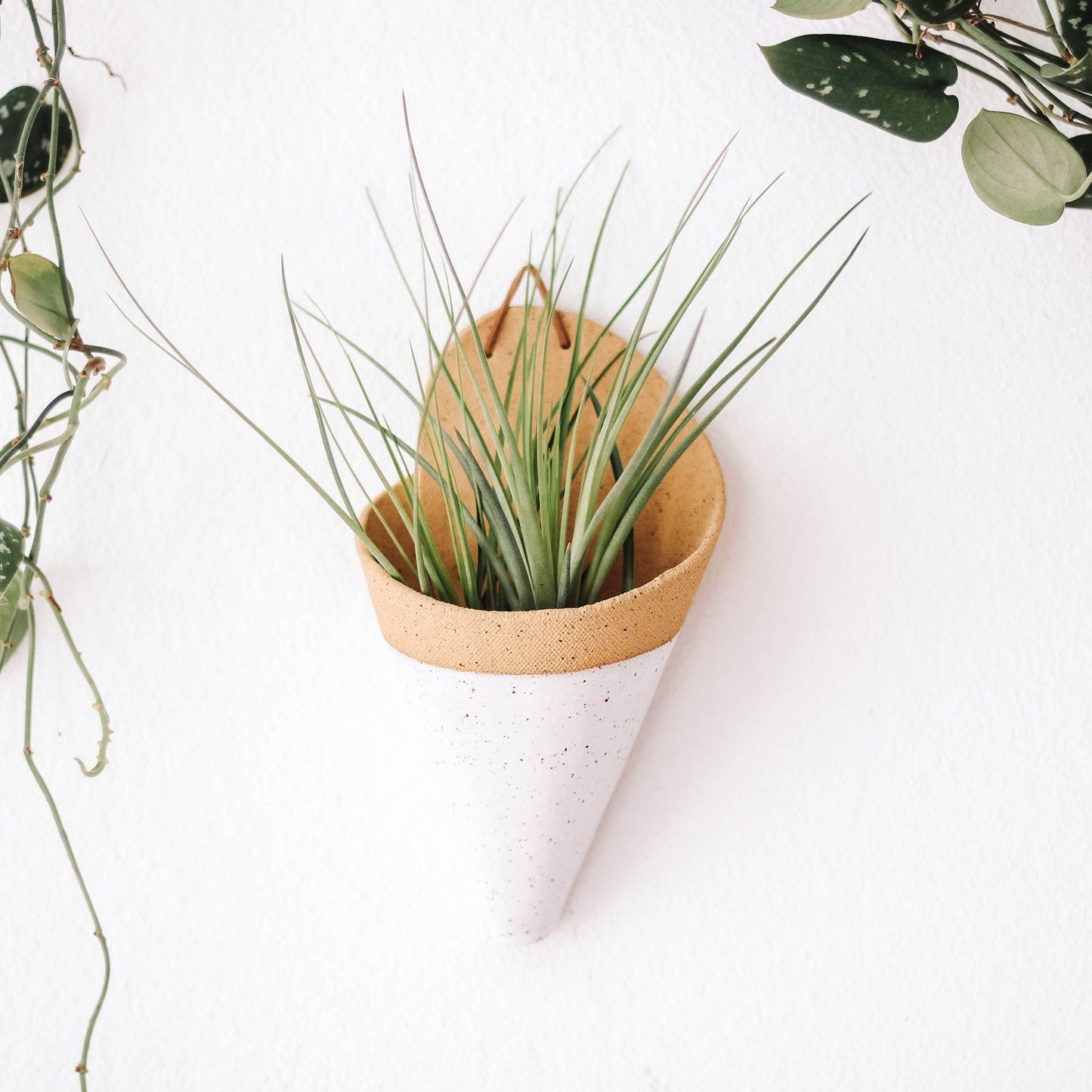 Large Ceramic Cone: Pistachio / With Plant